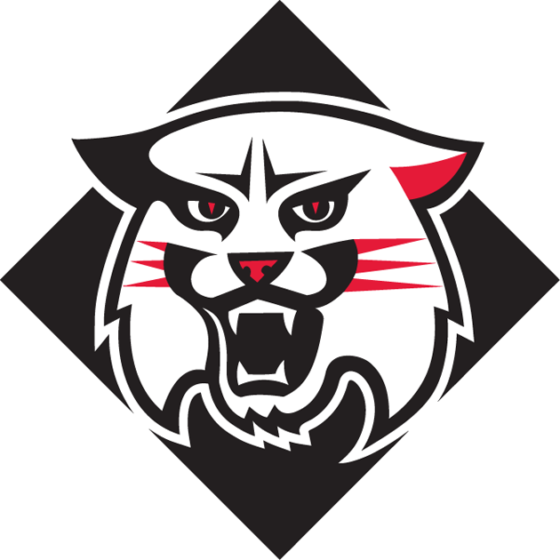 Davidson Wildcats 2010-Pres Alternate Logo iron on paper